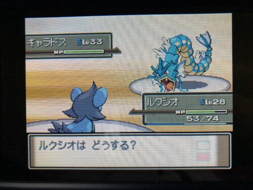 ポケットモンスター プラチナ その2 ドルフの雑記ブログ ポケットモンスター プラチナ その2 ドルフの雑記ブログ